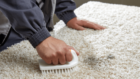 Professional Rug Cleaning Middle Park